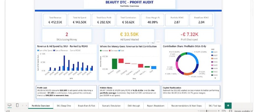 Beauty DTC profit audit dashboard, portfolio overview page